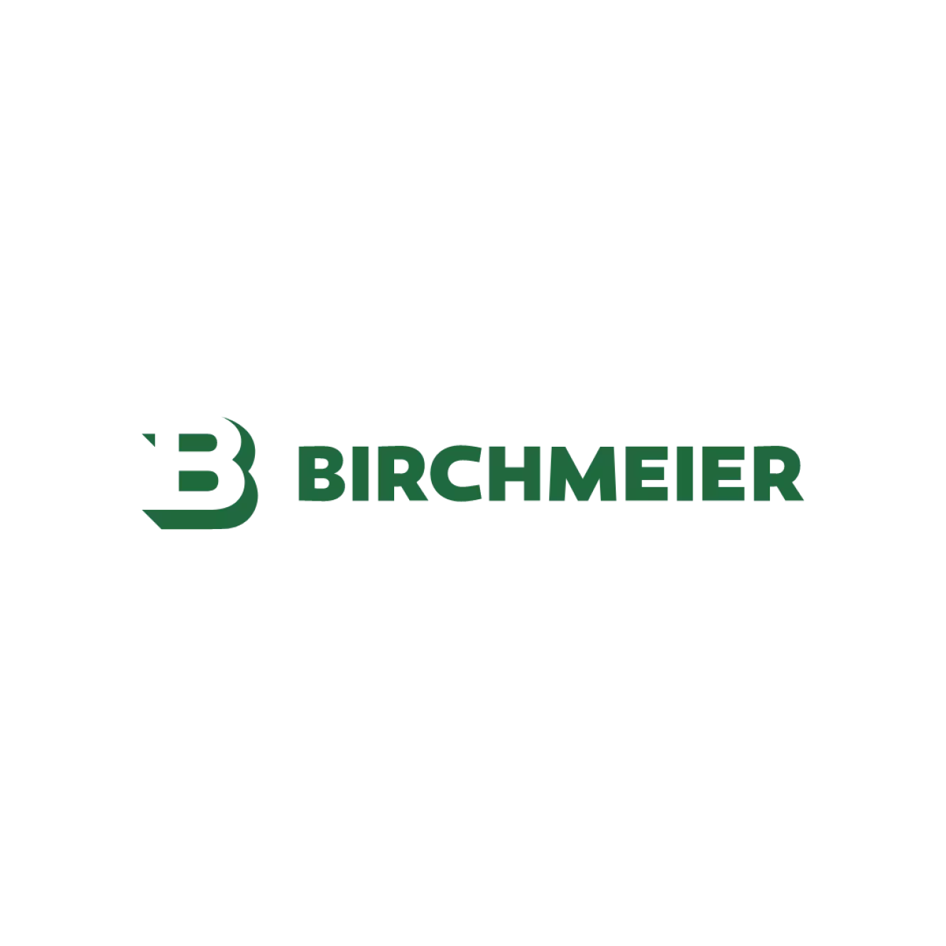 logo_birchmeier